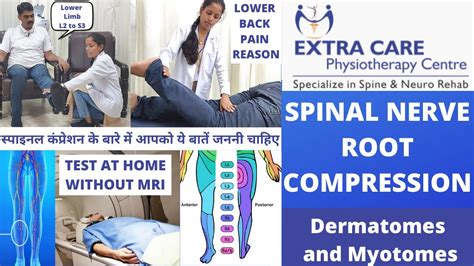 nerve root compression test